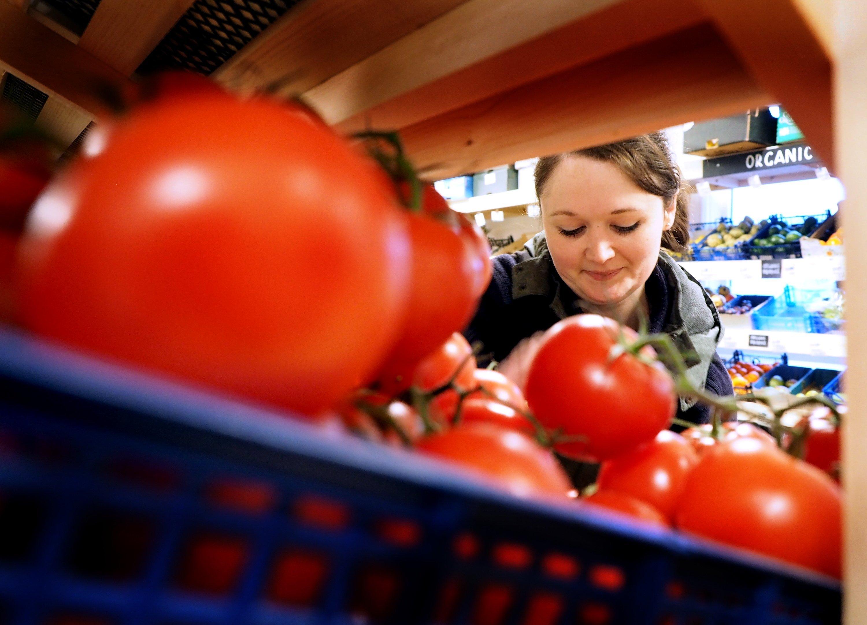 Filling the tomato shelves at Beanies. Picture: David Bocking