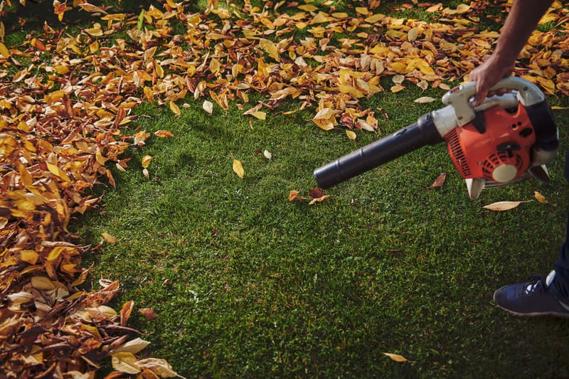 At this time of year? We’d love to have a leaf blower just to carry about with us. Maybe the council could all sort us out with a personal one. One commenter mentioned how dangerous a slip hazard mushy wet leaves can be, and they’re not wrong!