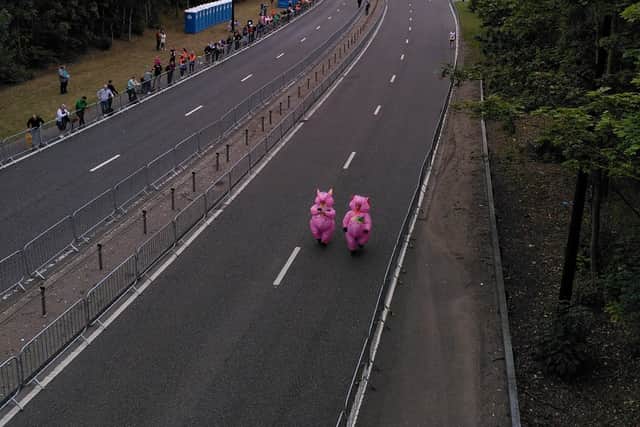 Percy and Penny (possibly not their real names) make their way to the start line. Go on the pigs!