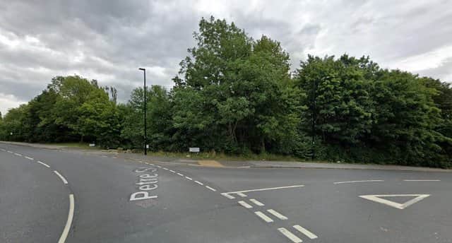 These woodlands are full of hazardous materials including broken glass, say campaigners who are urging Sheffield Council to tackle the problem.