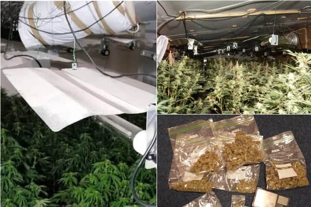 The police war on drugs in Sheffield has led to the recovery of cannabis factories worth millions over recent months