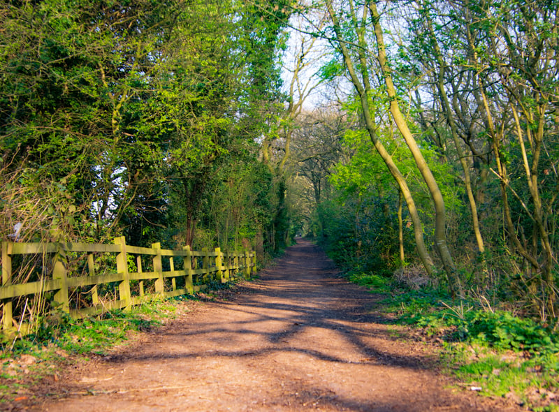Sandwell Valley Country Park near West Bromwich has a park farm where you can interact with animals. The massive park is also great for walking, cycling and birdwatching. A visit to the park can be a great family fun day. (Photo - Shutterstock)