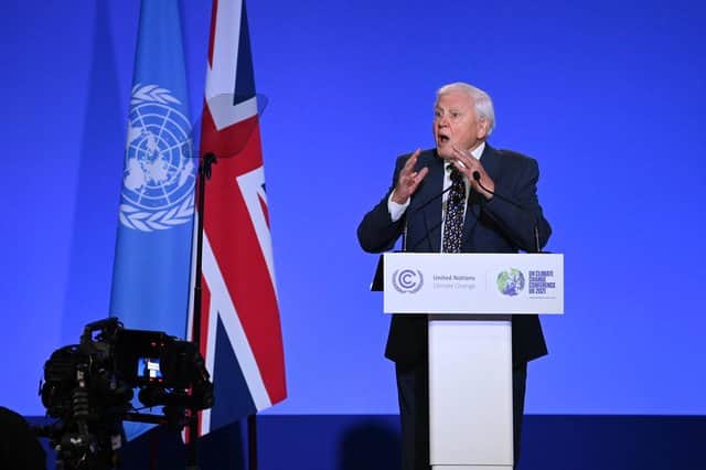 COP26: Sir David Attenborough tells world leaders that humanity is “already in trouble” at Glasgow climate conference. (Picture: Jeff J Mitchell/Getty Images)