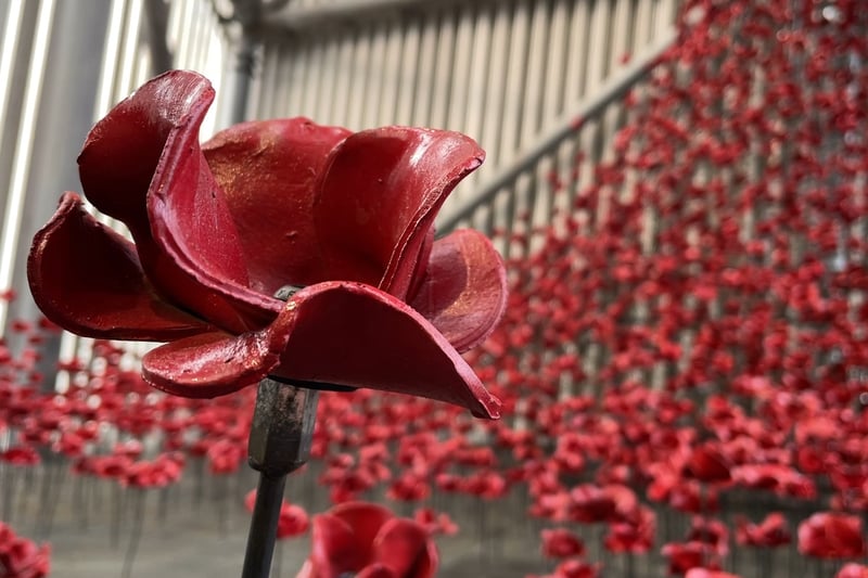 Poppies, by ceramic artist Paul Cummins and designer Tom Piper, was installed at the Imperial War Museum North, Salford, in November 2022 to mark Remembrance Sunday. It includes over 10,000 poppies cascading down 30 metres of the inside of the building. 