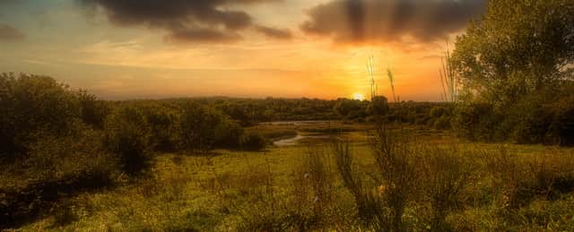 Golden Sunrise over Sandwell Valley West Midlands