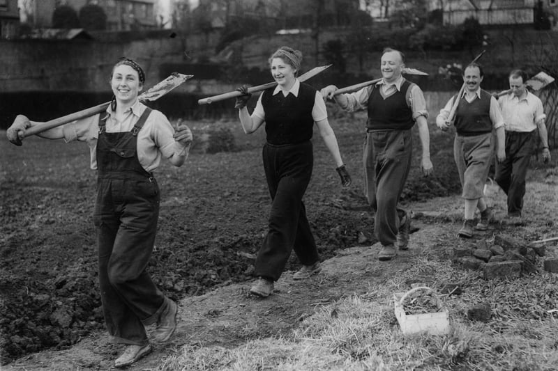 Austrian refugees off to work on an allotment in 1940 at West Didsbury, Manchester.