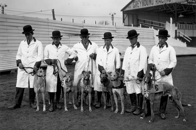 Meanwhile, over at Belle Vue race track, six greyhounds get ready with their handlers in 1927