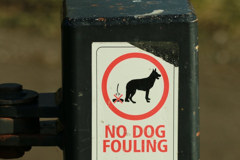 Failure to clean up after your dog can result in an on-the-spot fine ranging between £50 and £80, depending on your local council. Refusal to pay the initial fine can lead to the case being taken to court, where you could be fined up to £1,000. Some councils also make it mandatory for owners to carry a poop scoop and disposable bag when walking dogs in a public place.