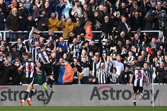 Fabian Schar scores Newcastle United’s goal of the afternoon against Brighton and Hove Albion.
