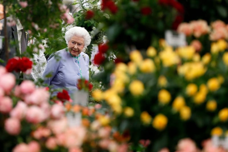 Queen Elizabeth II  enjoying a display during a visit to the Chelsea Flower Show on May 19, 2014