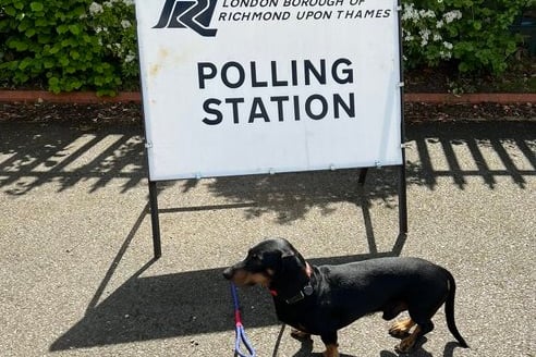 Sydney made it clear he wasn’t going to let democracy get in the way of his walk.