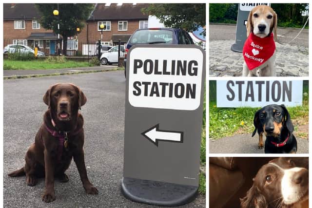A look at some of the cutest dogs at polling stations in London.