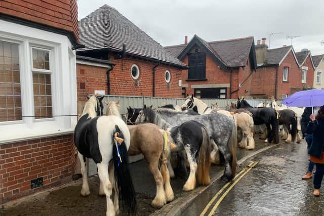 Horses in Wickham