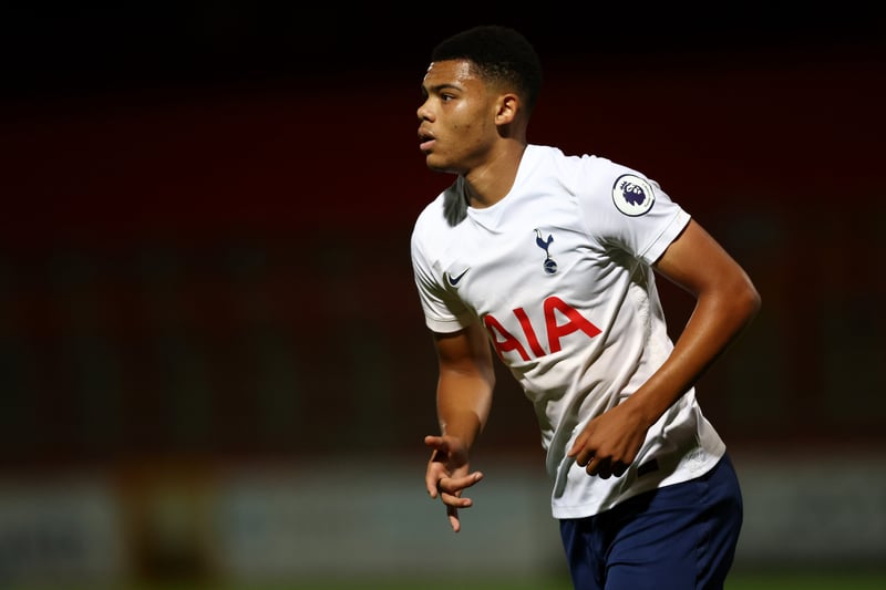 Preston North End are thought to be keen on a loan deal for Tottenham Hotspur striker Dane Scarlett. The 18-year-old has made four appearances in all competitions for Spurs' senior team this season. (Football League World)