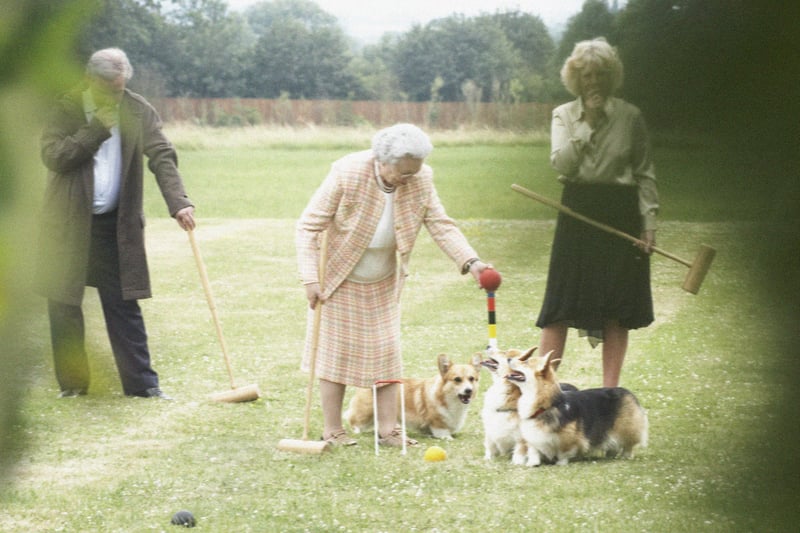 A Queen lookalike is captured playing croquet with Camille and her corgis.