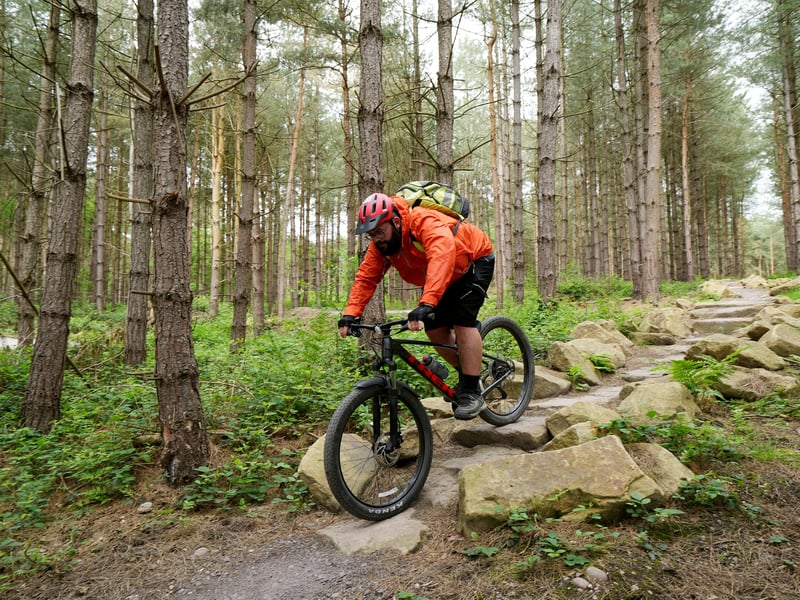 Although just beyond Birmingham, this forest is worth the short drive for expansive woodland walks, varied terrain and plenty of nature. There is a café (or café-style facility) at the forest visitor centre serving refreshments.