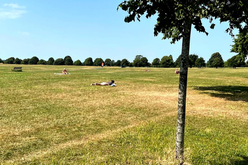 A select brave few were seen catching a tan on the Downs where there is limited shade.