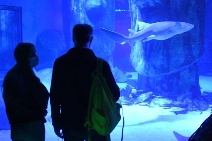 Aquariums aren’t just for school trips, they’re also a great place for a date. What can be more romantic than walking leisurely while the two of you survey dreamy sea life? It’s no surprise Bristol Aquarium came out tops in the search for the city’s best dating spots. 