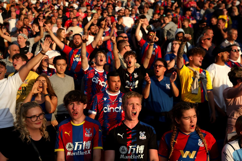Fans of Crystal Palace react during Arsenal match.