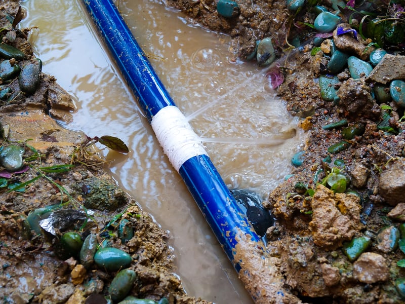 South Staffs Water lost 10.8 cubic metres of water per kilometre of pipe.