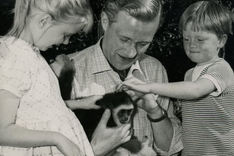 A Blue Peter presenter visits the zoo, much to the delight of young visitors, in 1958.