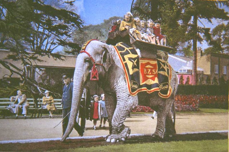 Excited youngsters atop Rosie the elephant in the 1950s.
