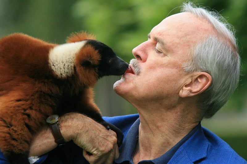 John Cleese comes face to face with Colin the red ruffed lemur at Bristol Zoo.