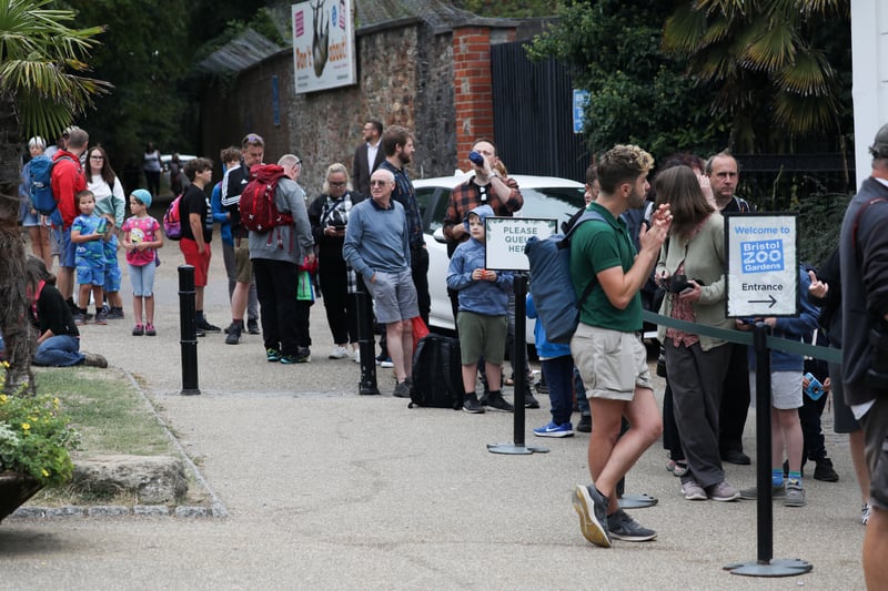 Members of the public queue for the Bristol Zoo on its final day of opening. 