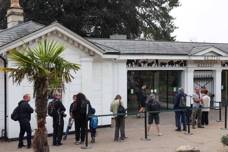 Members of the public queue for the Bristol Zoo on its final day of opening. 