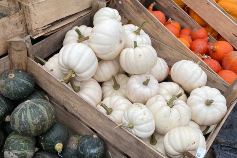 Kenyon Hall Farm grow over 15,000 pumpkins in different patches across the farm and open from September 23 for pumpkin picking. Entry tickets are £2.96 and any pumpkins you pick are priced according to size and range. The event will end on October 31.