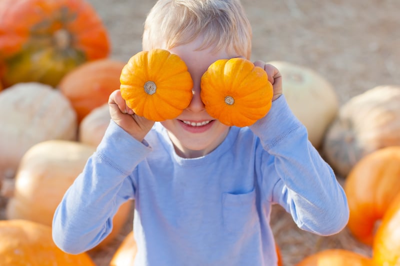 The Pumpkin Patch Mini at Bungalow Farm prides itself in Halloween pumpkins of all shapes and sizes and cater for all tastes from small to Atlantic giants, the farm shop is stocked with produce grown directly on the farm.
