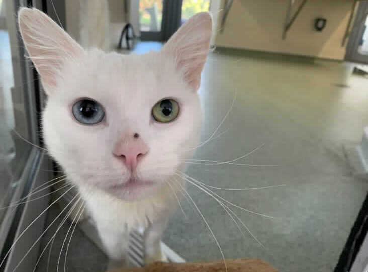 Everest is a little shy but growing in confidence