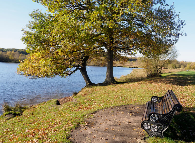 Sutton Park has a number of previously unrecorded archaeological features, spanning prehistory to the present day. The park is home to Bronze Age burnt mounds (associated with hot-stone technology), and one of the best-preserved Roman roads in the country (part of Ryknield Street). (Photo - Getty Images/iStockphoto)