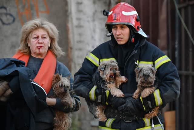 Dogs are rescued. Credit: SERGEI SUPINSKY/AFP via Getty Images