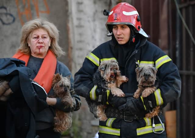 Dogs are rescued. Credit: SERGEI SUPINSKY/AFP via Getty Images