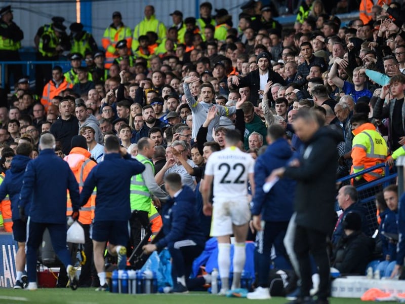 Average attendance: 36,441