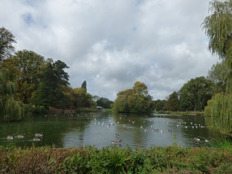 This park is a Victorian gem and now covers over 63 acres of landscaped grass slopes, with flower beds, mature trees, shrubs and plenty of wildlife. It is a great place to hang out with your canine friend. (Photo - Flickr/Elliott Brown)