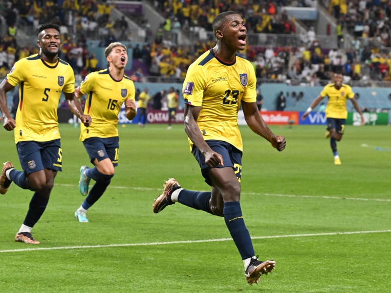 Moses Caicedo, who plays club football for Brighton and Ecuador internationally, has 4 yellow cards in the Premier League this season.
Worst offender: Moses Caicedo - 4