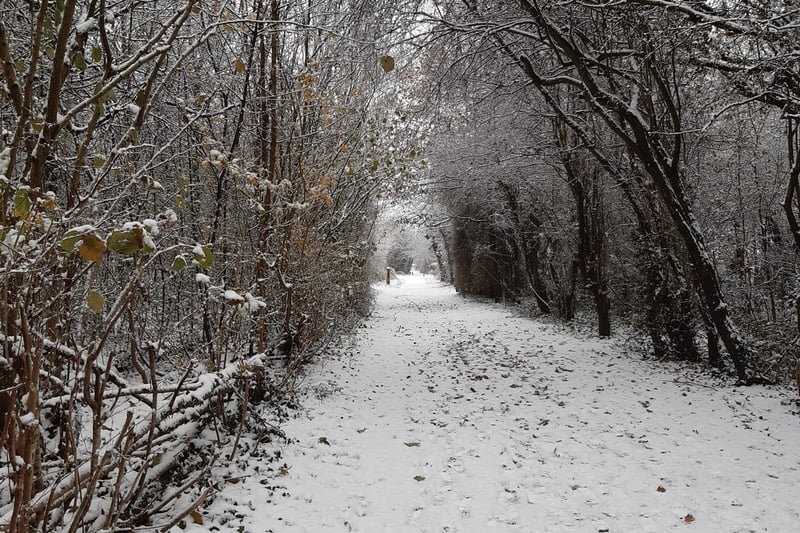 The dramway off the cycle track looks like something out of Narnia (Credit: Andrew Goddard)