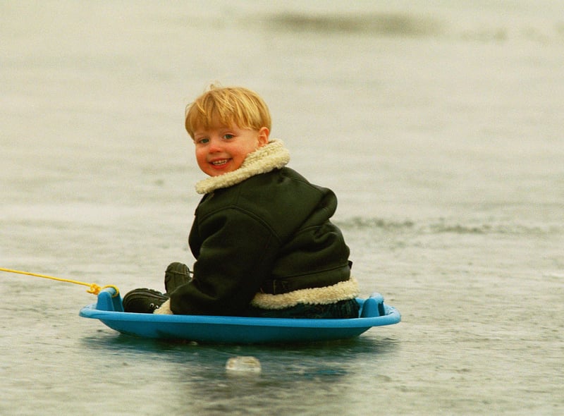 A toddler gets pulled along in his sledge in the brisk weather.