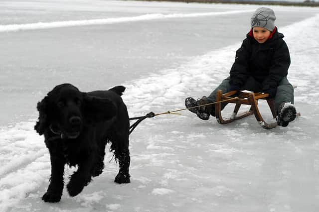 Louis Sidebottom, pulled by his cocker spaniel Olly, along the ice at Whittlesey Wash in 2010.
