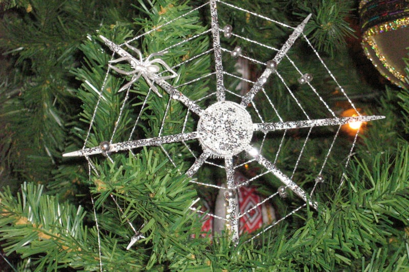 Ukrainian families decorate their trees with spider webs for good luck. This tradition originates from an ancient tale where a poor family grew a Christmas tree from a pine cone, but the family was not able to afford any decorations, so spiders spun glistening silk webs around the tree leaving the family with a beautifully adorned tree.  (Photo:  Erika Smith / Wikimedia Commons)