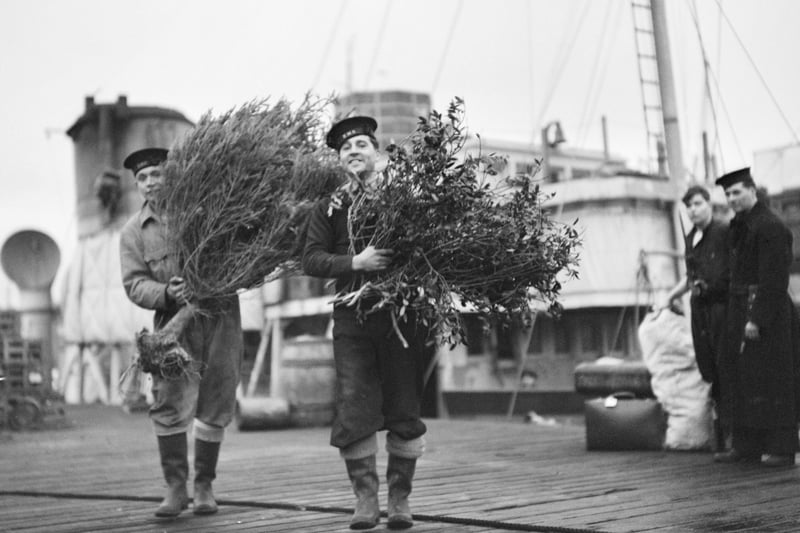 Two sailors carrying the Christmas tree and holly for Christmas festivities at Gladstone Dock, Liverpool. 