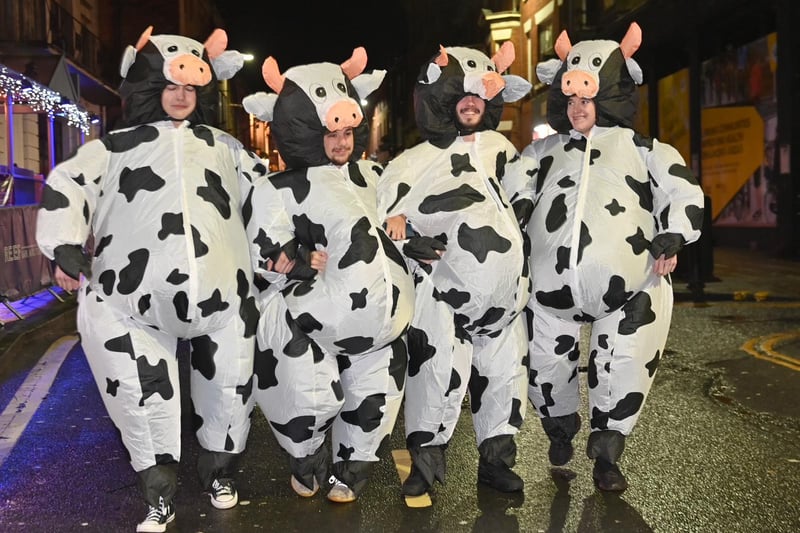 A herd of cows out and about for the Boxing Day fancy dress