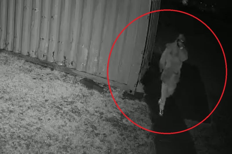 This man was caught on camera trying to open locks to storage containers at Kingswood Rugby Club