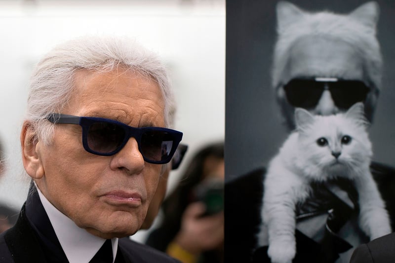 Karl Lagerfeld famously pampered his belived Choupette, including rumours of being bathed in champagne. The cat’s lavish lifestyle did not end with Lagerfeld’s death, as Choupette inherited £10.8m. Picture: JOEL SAGET/AFP via Getty Images