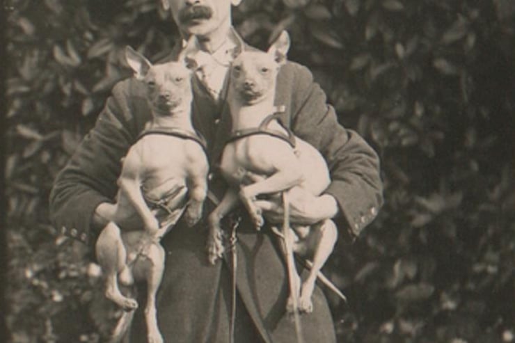 Dog shows were part of the zoo’s events calendar at various times during the 19th Century. The zoo also had Labradors, St Bernards and Huskies.