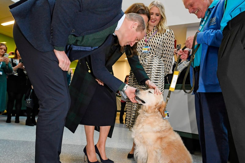 William and Kate meet Therapy Dog Golden retriever ‘Rosie’ as they visit the Royal Liverpool University Hospital.