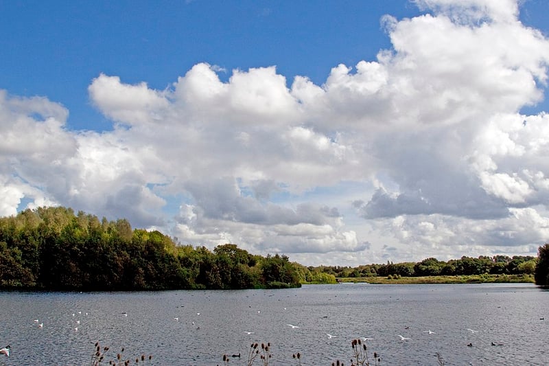 Forge Mill Lake is a local nature reserve in Sandwell Valley Country Park. It’s a large lake alongside River Tame. It’s rich in natural beauty and has great pathways and cycle ways. (Photo - Tony Hisgett/ Wikimedia Commons)