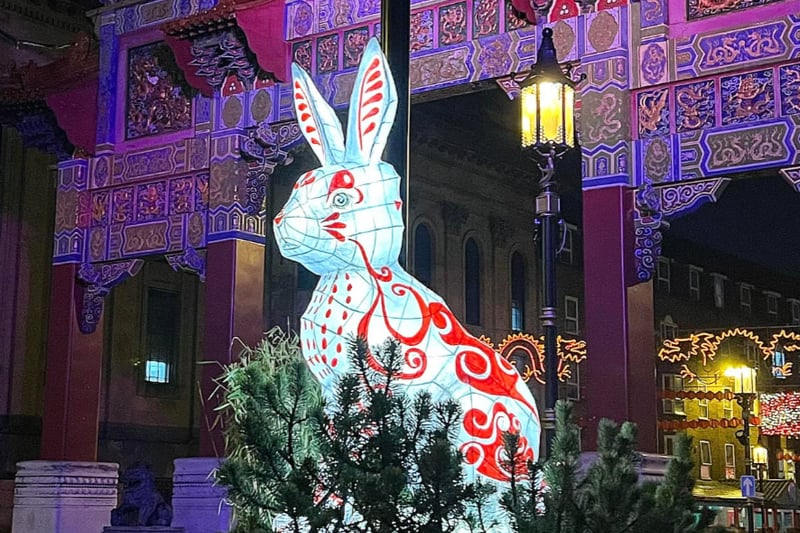 Incredible rabbit artwork created by local artist, Becky Bryson.
